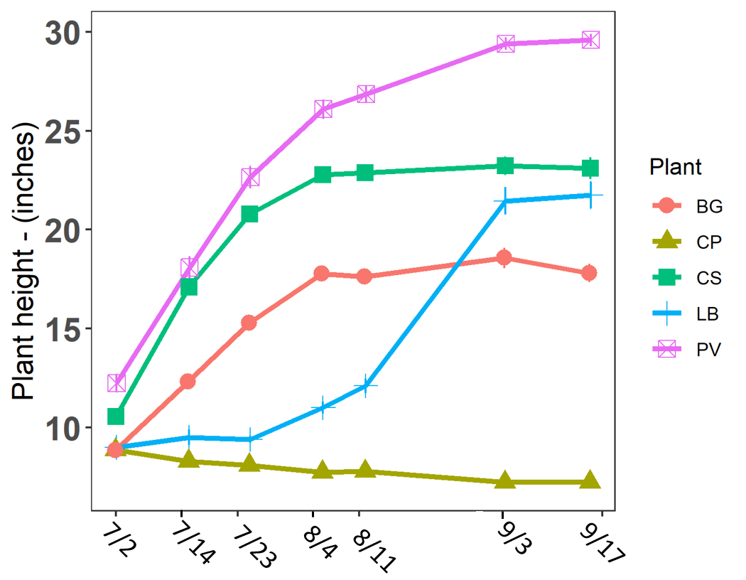 Graph of growth of the five turf alternatives